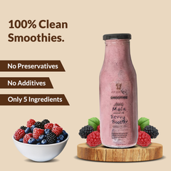 Berry Booster